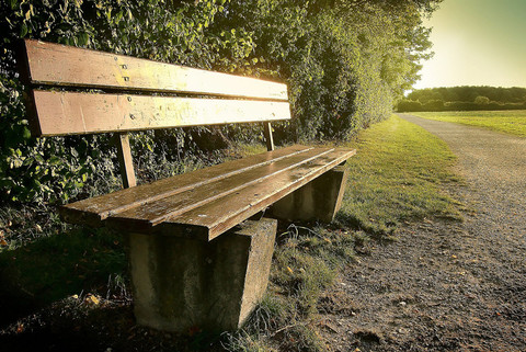 Bench in a park