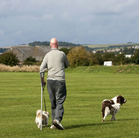 Elderly man using a crutch whilst walking his dogs
