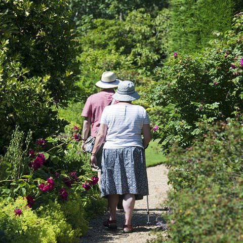 Elderly couple walking in a park