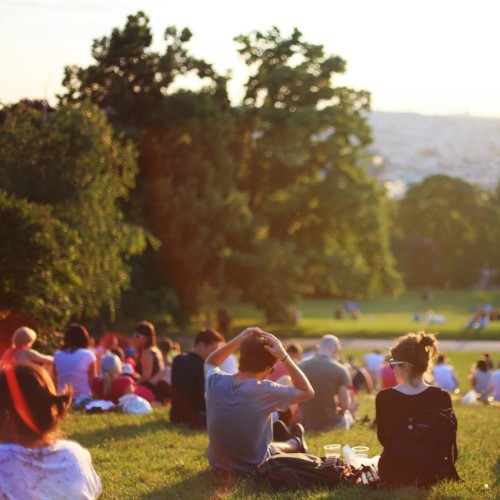 People sat in a field